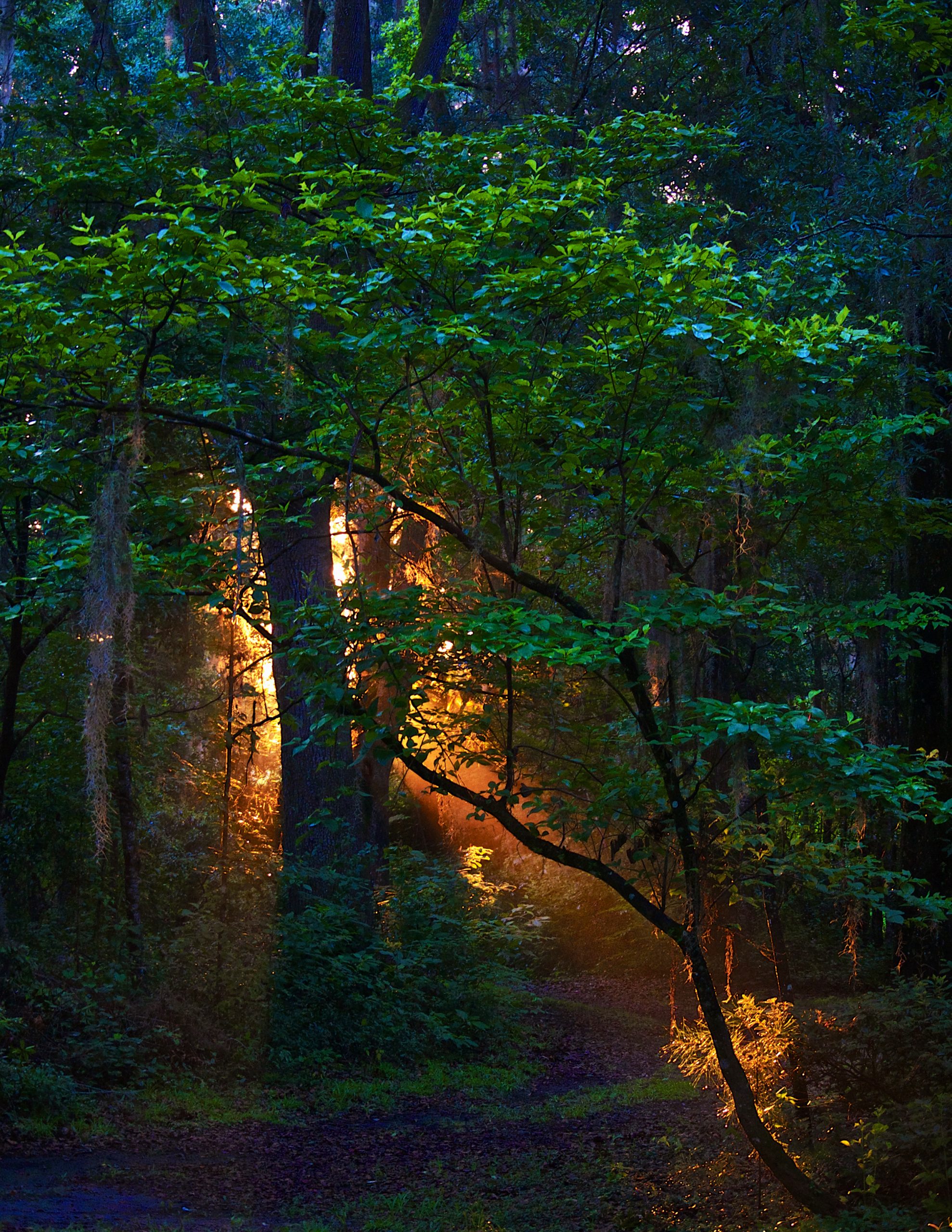 Landscape Winner 2015