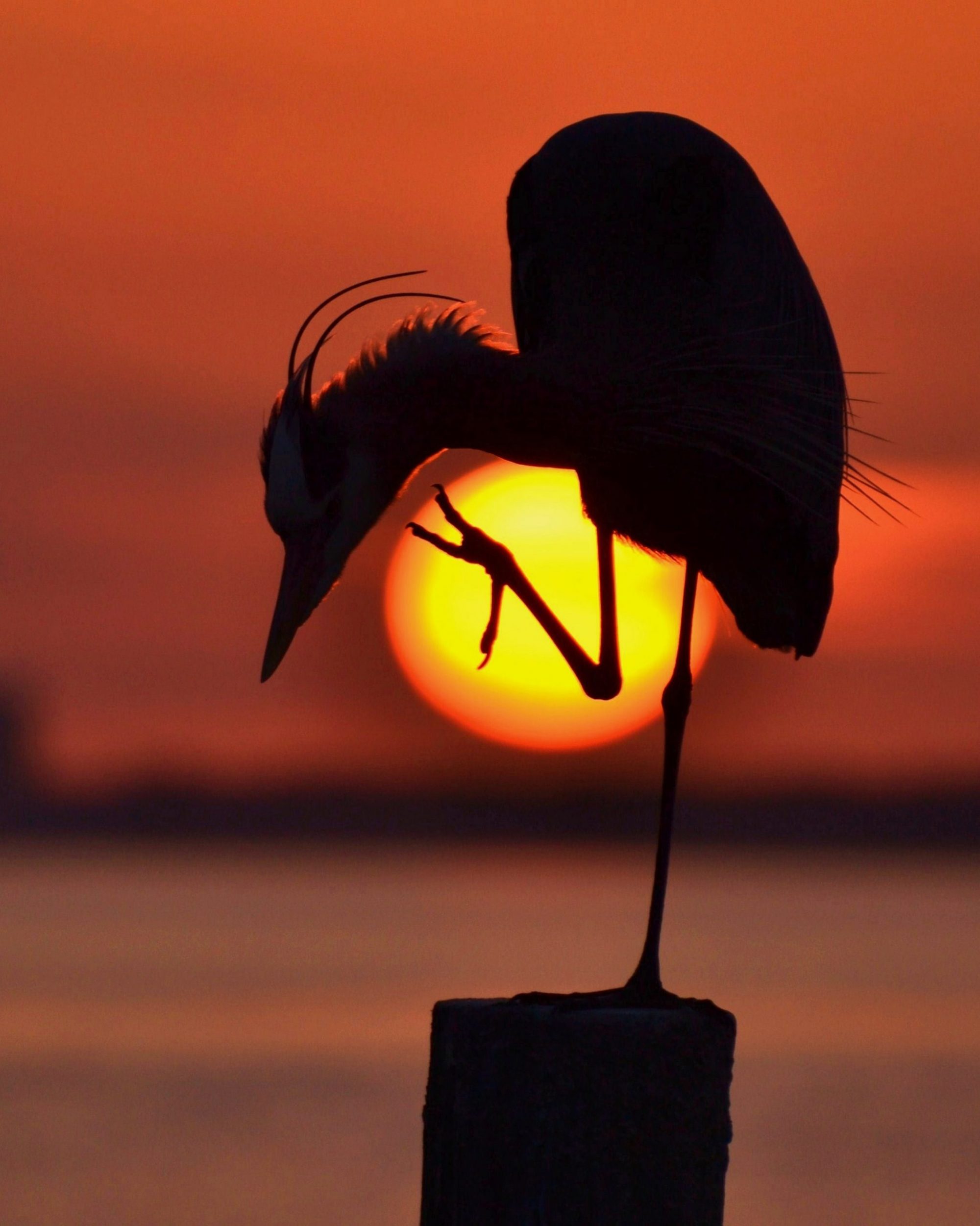 Sunset and Sunrise Winner 2015