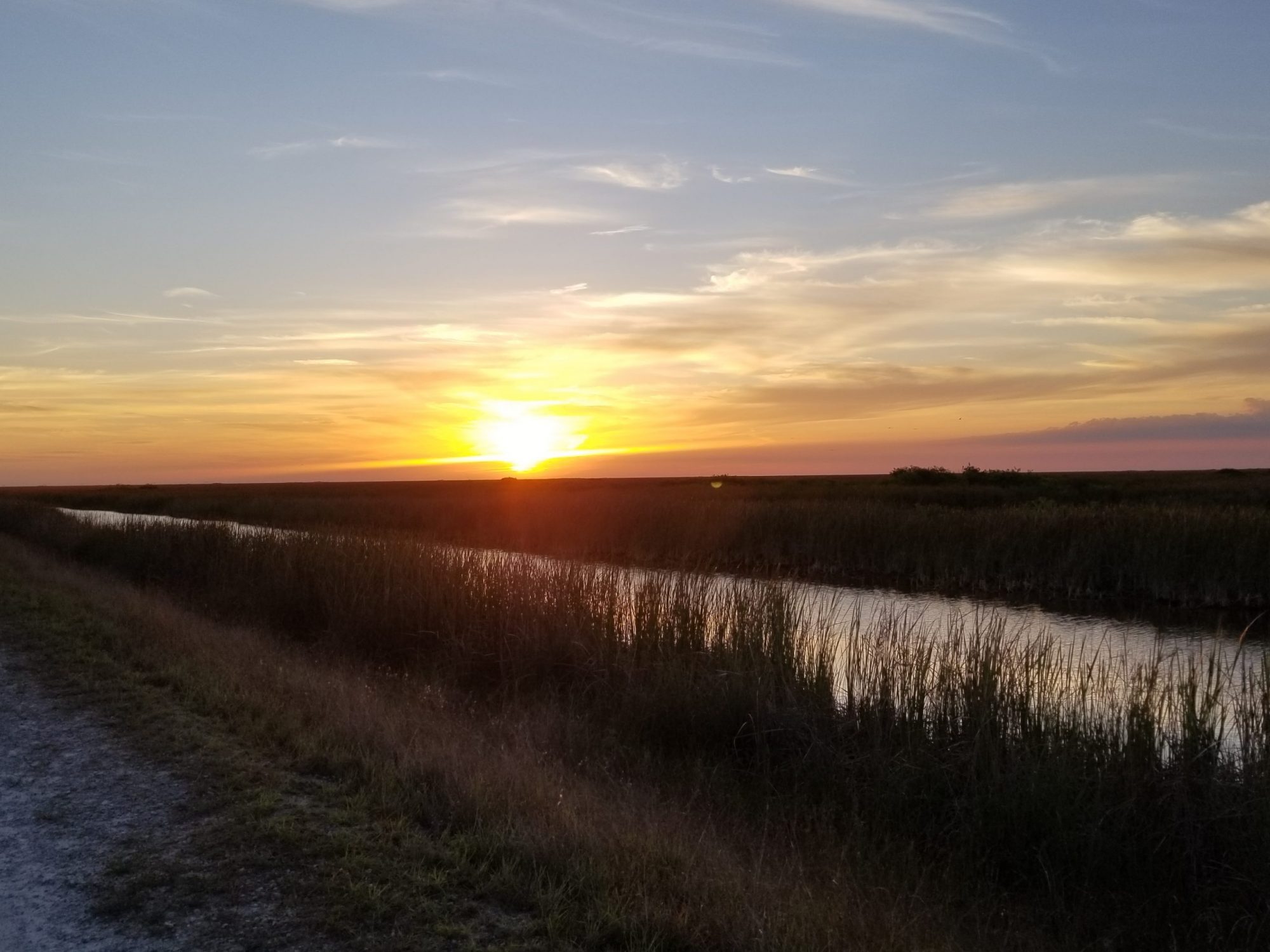 Federation Swamp Tromp in the Northern Everglades