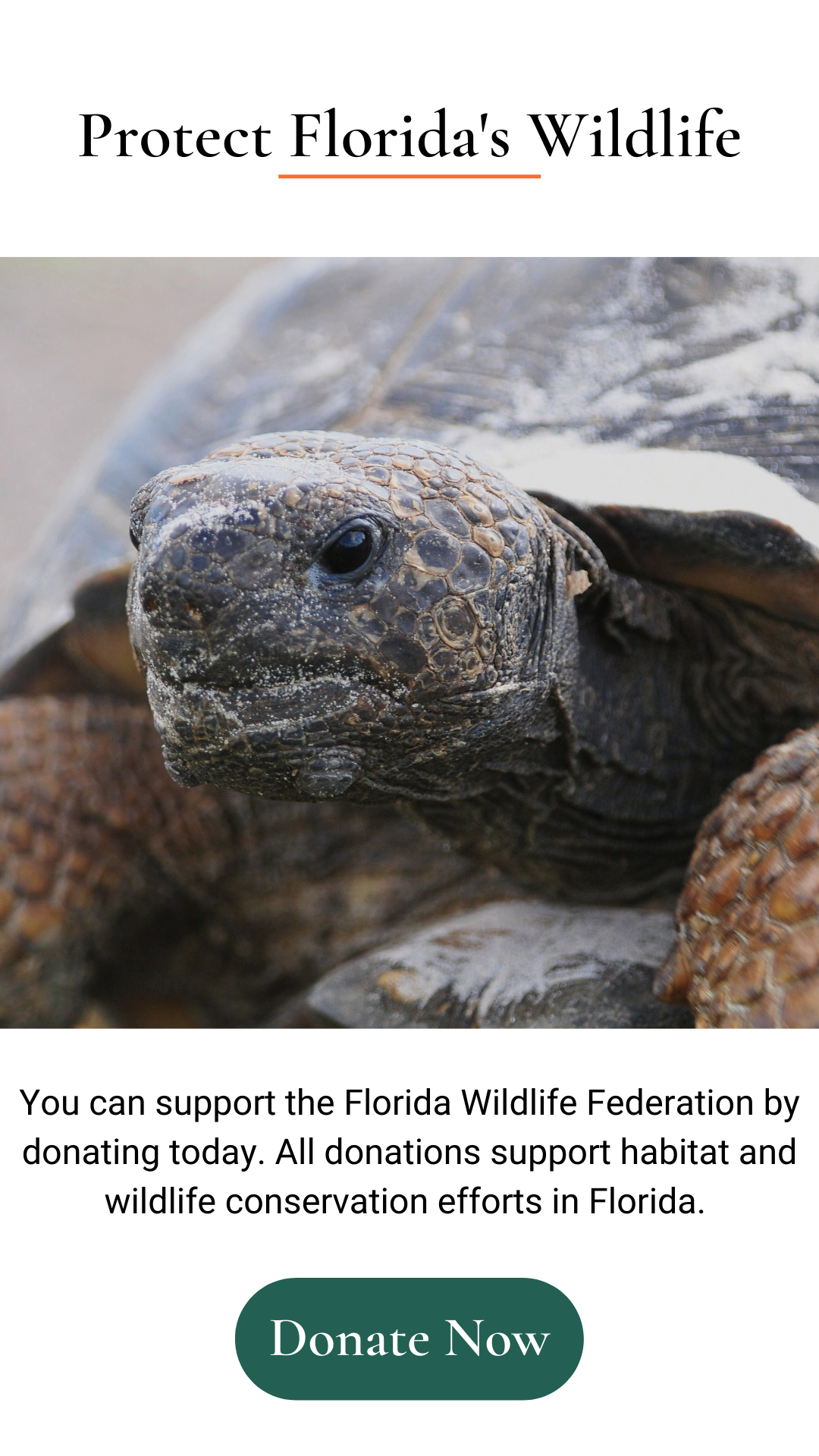 Protect Florida Wildlife