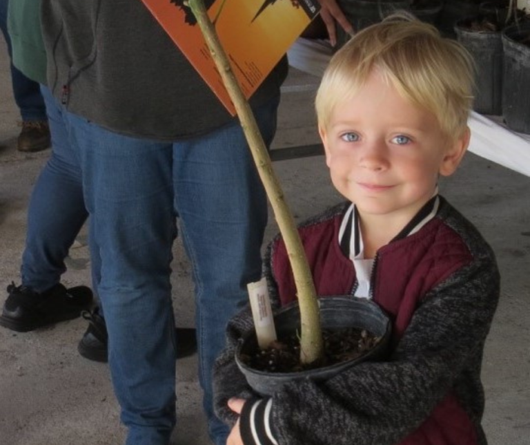 Young boy at Arbor tree giveaway.