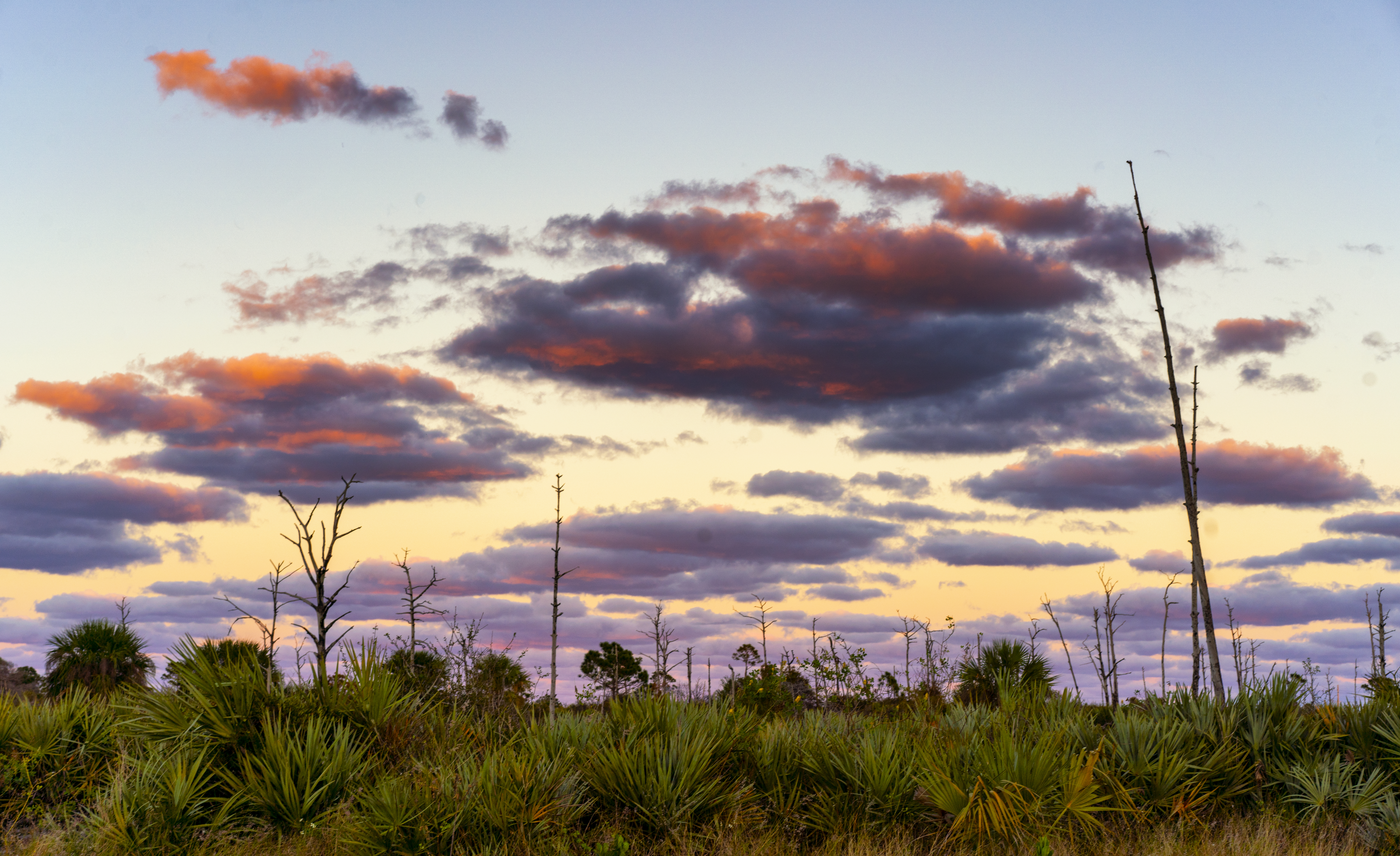 Florida State Parks Threatened by Development