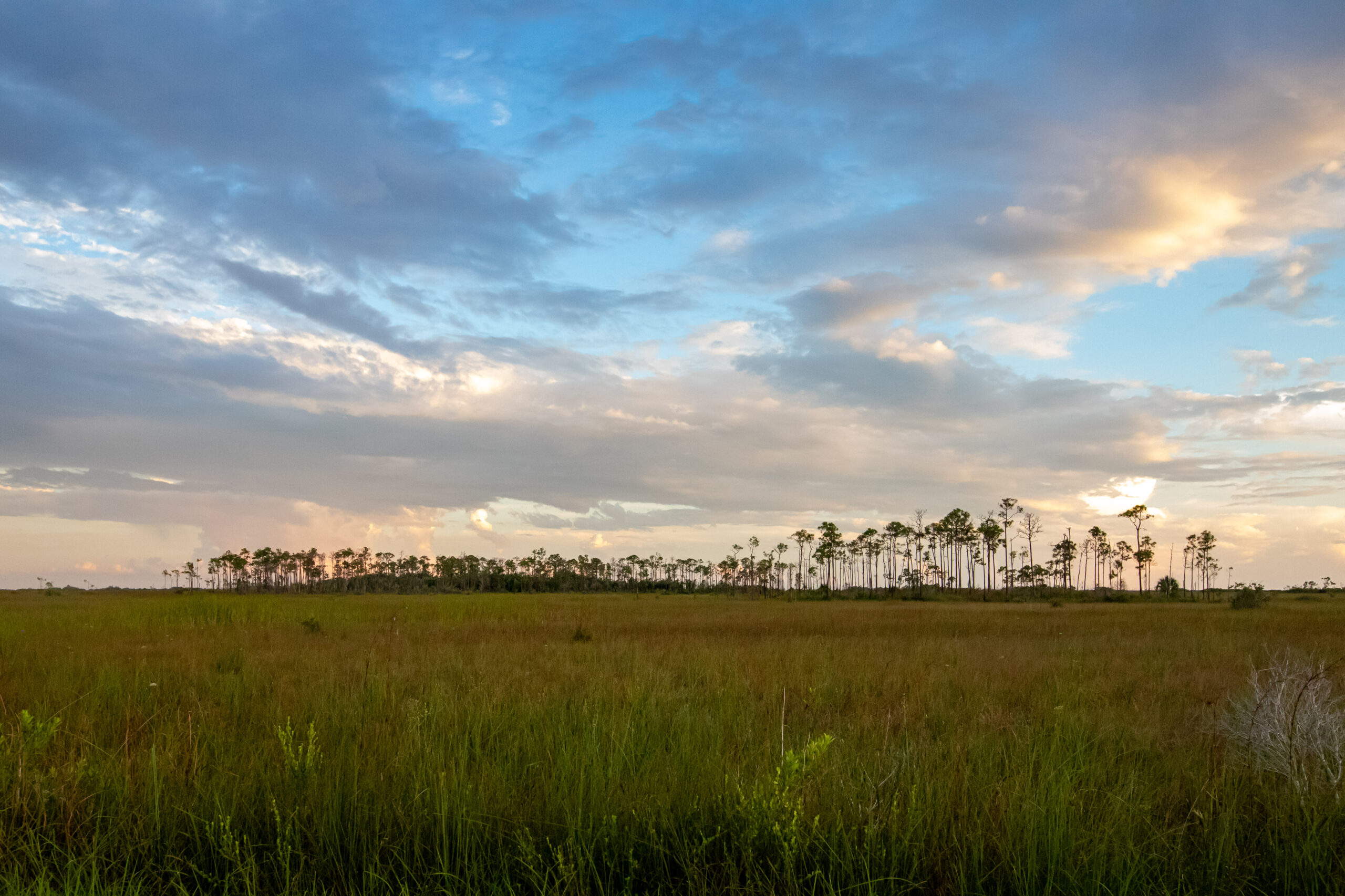 Get Outside with FWF: Summer Storms, Wildlife, and Sunsets in the Everglades