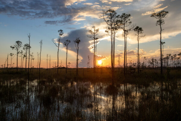 EvergladesNP_21SEP2024 (12 of 22)